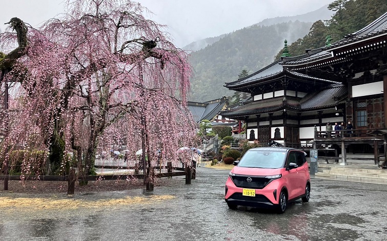 雨の日蓮宗総本山 身延山久遠寺にて、枝垂桜と日産サクラ（ピンクの車体）の共演