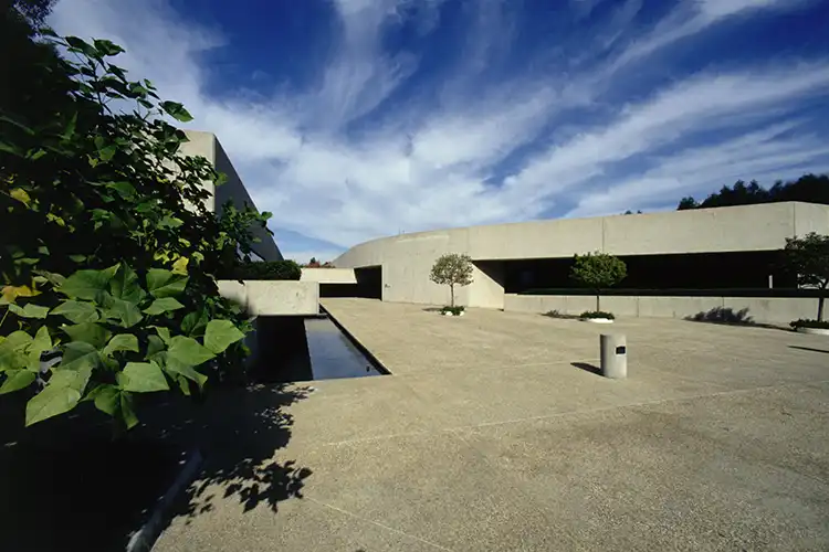 Una foto de un patio.