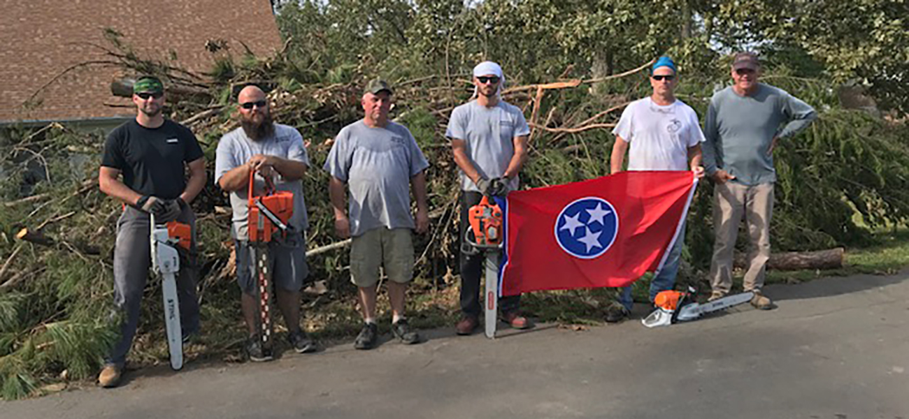 6 people standing outside in front of fallen trees.