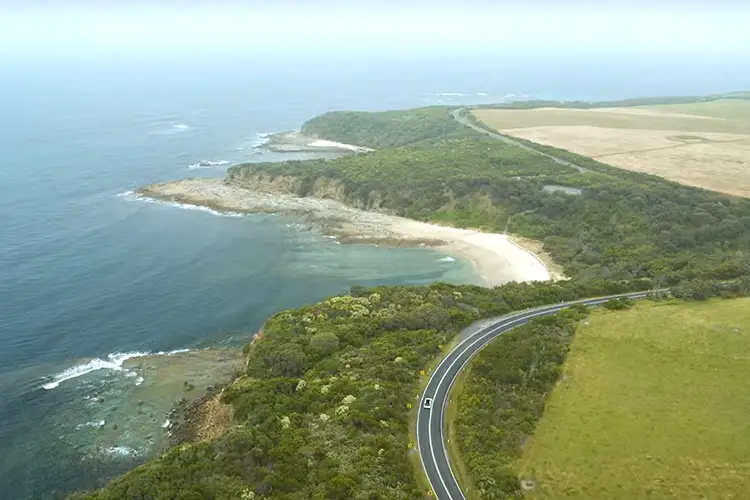 An arial shot of a tree lined coastline