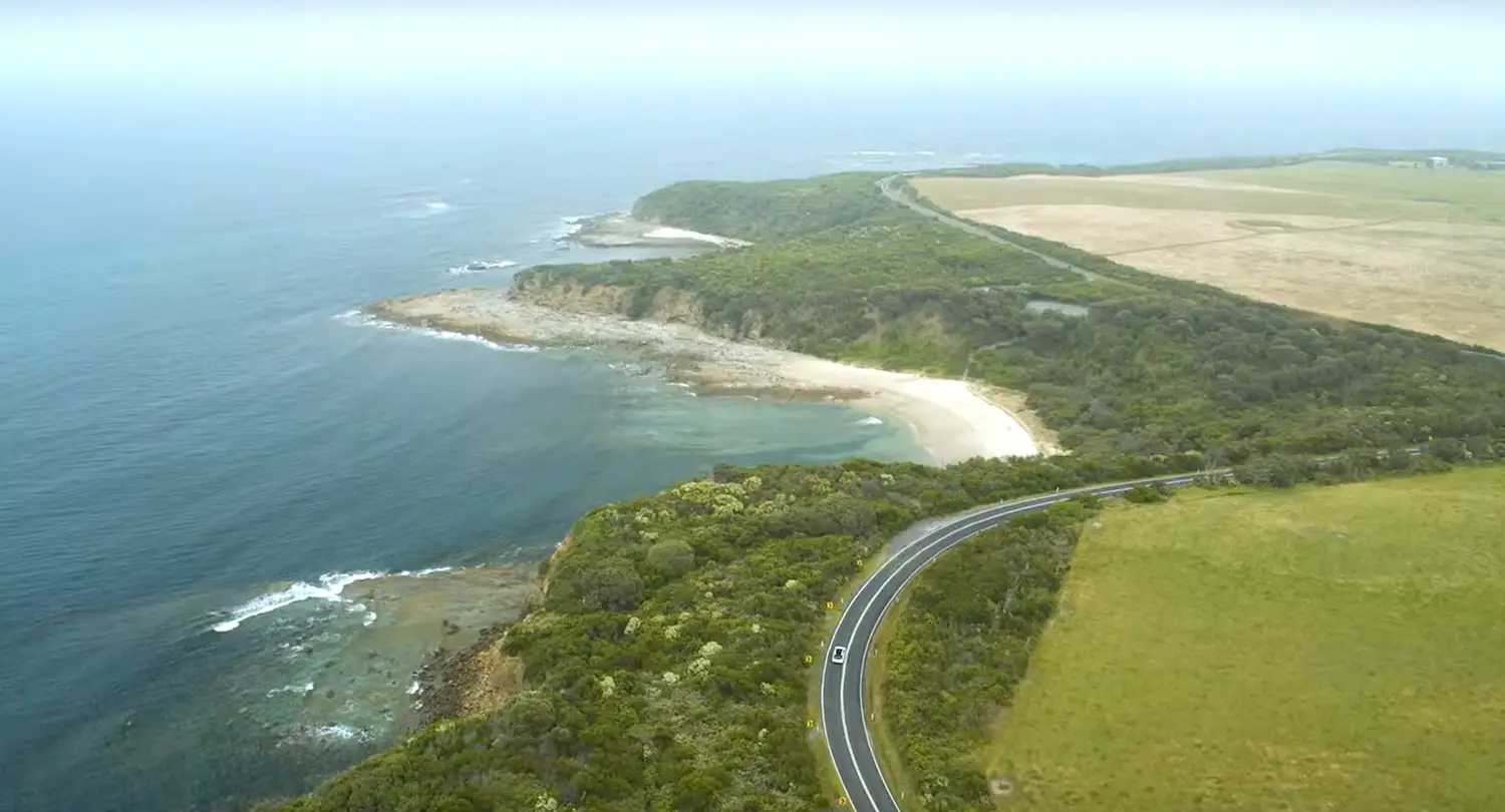 An arial shot of a tree lined coastline