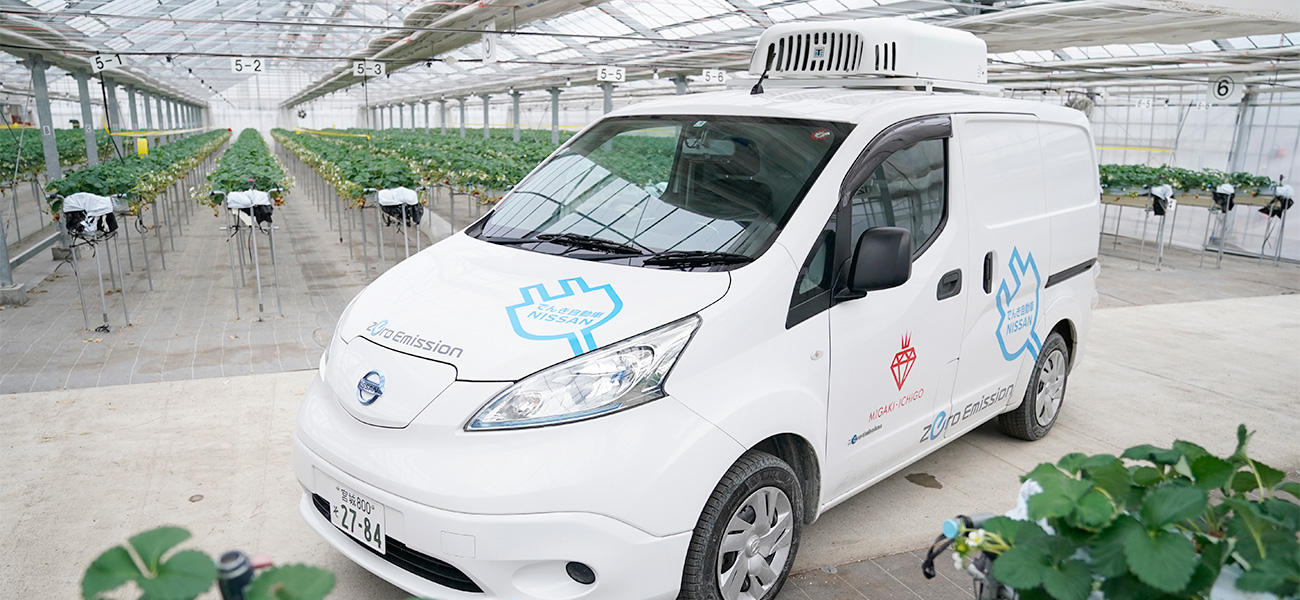 Nissan's zero emission white car parked in the middle of a green house where strawberries are harvested.