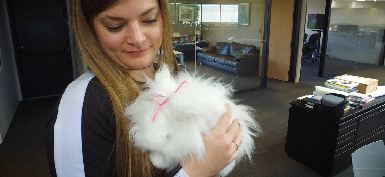 A woman holding a white bunny.