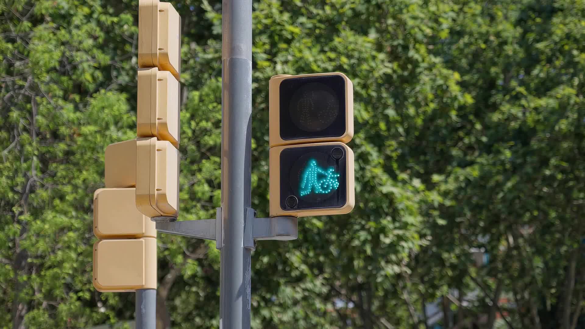 Electrification with Choice